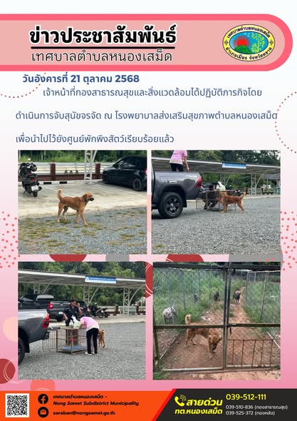 ข่าวประชาสัมพันธ์เทศบาลตำบลหนองเสม็ด
วันอังคารที่ 21 ตุลาคม 2568
               เจ้าหน้าที่กองสาธารณสุขและสิ่งแวดล้อมได้ปฏิบัติภารกิจโดยดำเนินการจับสุนัขจรจัด ณ โรงพยาบาลส่งเสริมสุขภาพตำบลหนองเสม็ด เพื่อนำไปไว้ยังศูนย์พักพิงสัตว์เรียบร้อยแล้ว